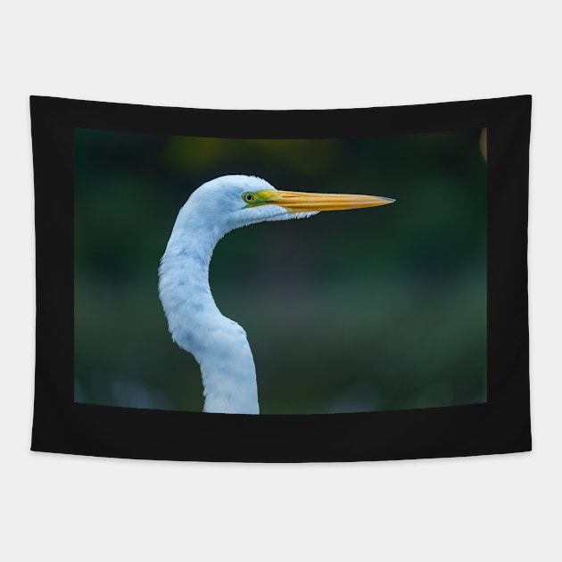 Great Egret Tapestry by jvnimages