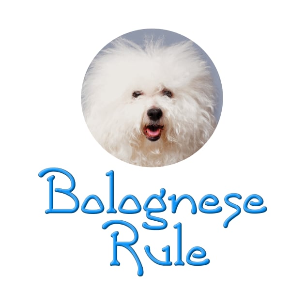 Bolognese Rule by Naves