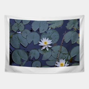 Beautiful white water lily Tapestry