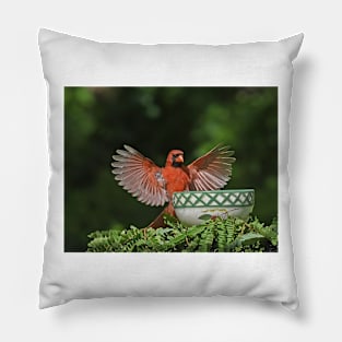 Red Cardinal Bird Wings Pillow