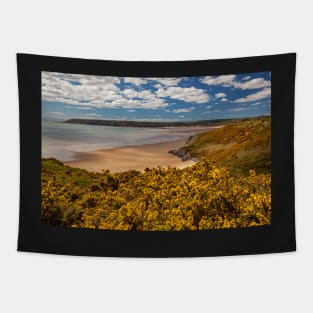 Tor Bay and Oxwich Bay, Gower, Wales Tapestry