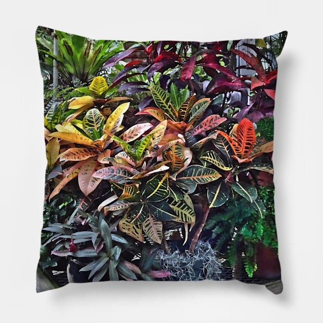 Croton in Greenhouse Pillow by SusanSavad