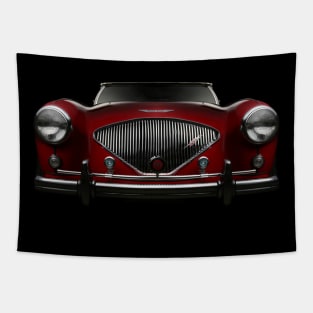 front/back - Austin Healey 100 - FDL edit Tapestry