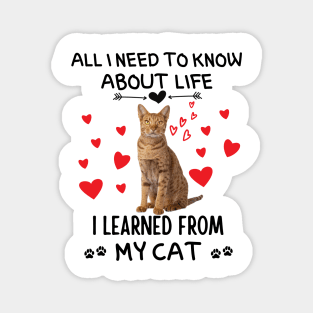 All I Need To Know About Life I Learned From My Cat Magnet