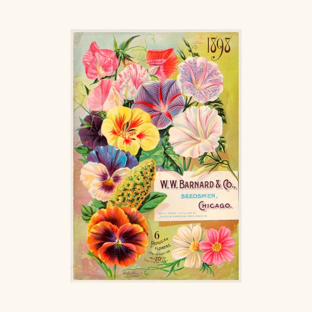 W. W. Barnard & Co. Seed Catalogue (1898) by WAITE-SMITH VINTAGE ART