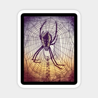 Spider Web in grunge Magnet