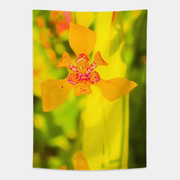 Yellow lily blossom on yellow background Tapestry by kall3bu