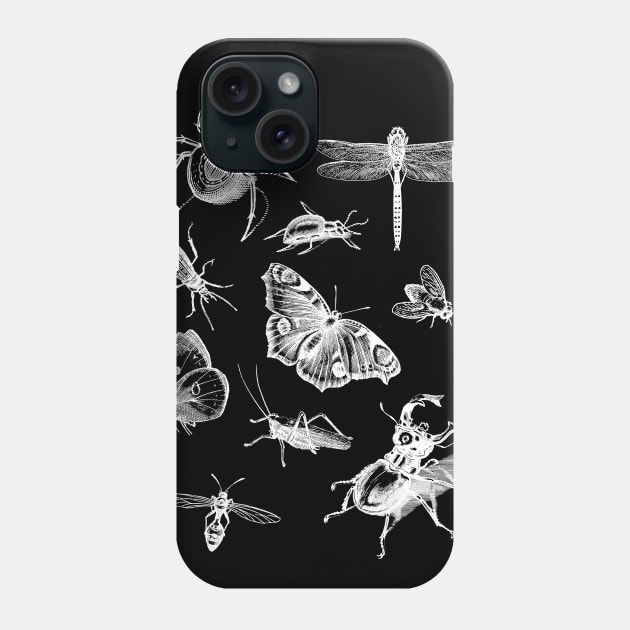 Dramabite Vintage retro scientific bugs insect collection entomologist Phone Case by dramabite