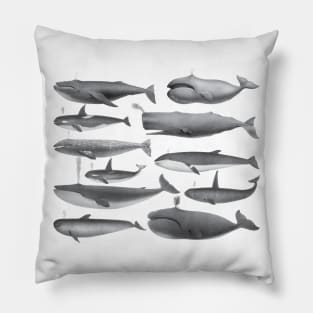 Whale - Whales Vintage Image Pillow