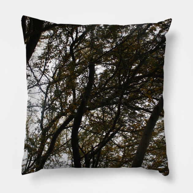 tree shadows Pillow by ScrambledPsychology