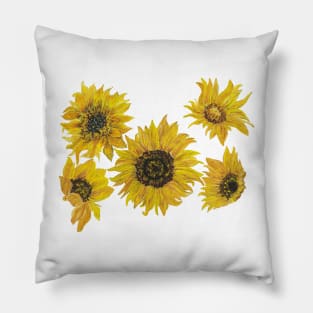 Sunflowers 1 Pillow