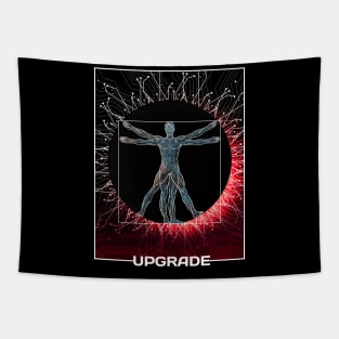 upgrade Tapestry