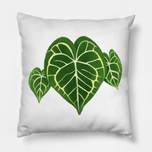 Philodendron Gloriosum Monstera Leaf Pillow