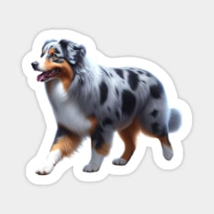 Australian Shepherd Magnet