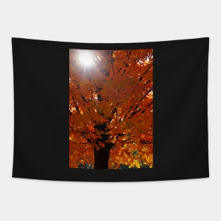 Vertical Autumn Orange Maple Tree Tapestry