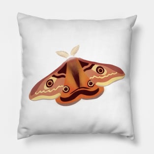 Emperor Moth Insect Illustration Pillow