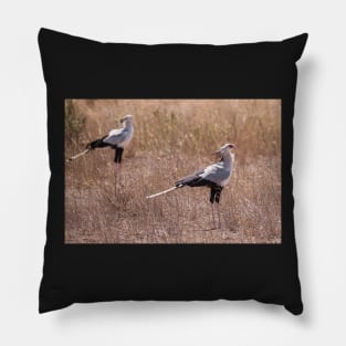 Secretary Birds Pillow