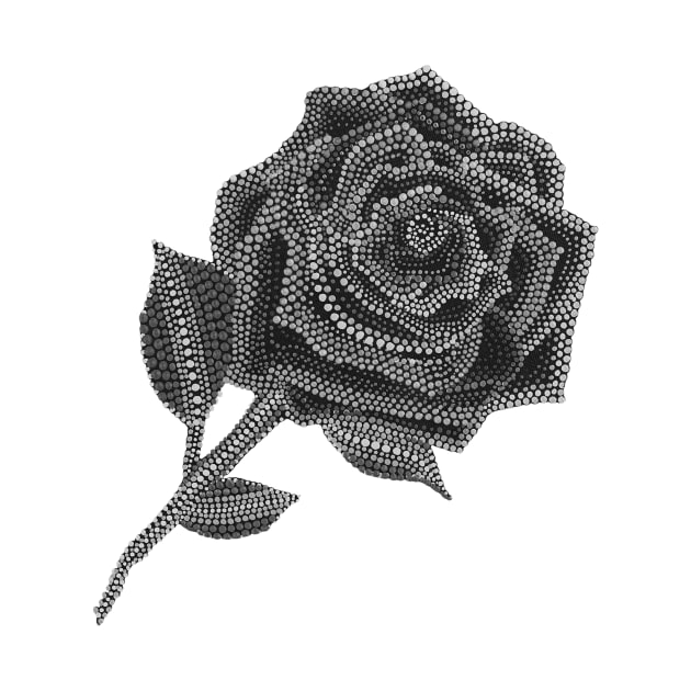 Rose - Black & White by Amy Diener