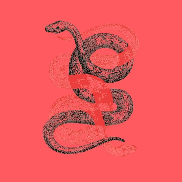 Double Snake by jackshoegazer