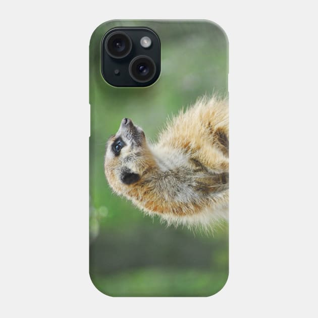 Meerkat Phone Case by DeVerviers