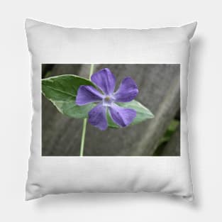 Lavender Vine Flower Against Fence Post Photographic Image Pillow