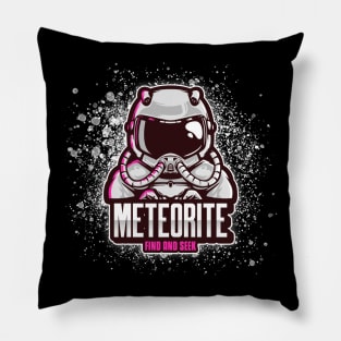 Meteorite Collector Astronaut "Find and Seek Meteorite" Meteorite Pillow