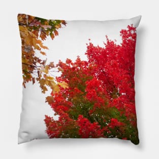 Red green fall trees thanksgiving Pillow