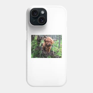 Scottish Highland Cattle Calf 2033 Phone Case