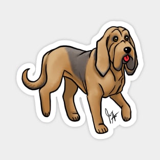 Dog - Bloodhound - Tri-Color Magnet