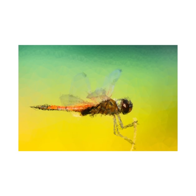 Low Poly Dragonfly by TRIME