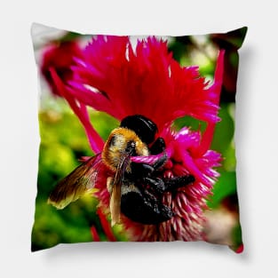 Bumble Bee Pillow