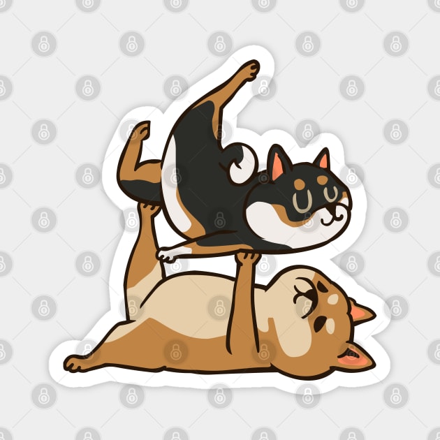 Acroyoga Shiba Inu Magnet by huebucket