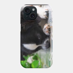 cute puppy Phone Case