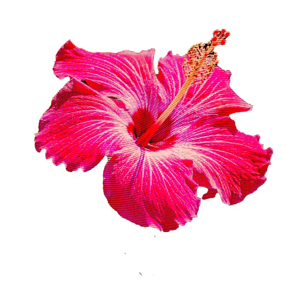 Hibiscus Summer Print by Asilynn