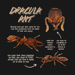 Dracula Ant Fun Facts T-Shirt