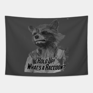 What's a Raccoon? Tapestry