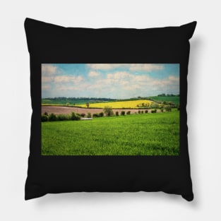 Berkshire Downs Farmland Pillow