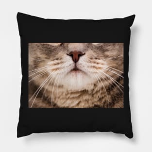 Funny Cat Face Pillow