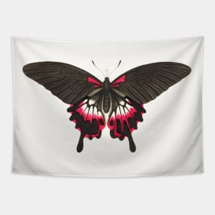 Caudated brown butterfly Tapestry