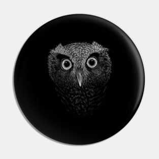 Screech Owl Drawing | Staring Big Eyes Owly Art Pin