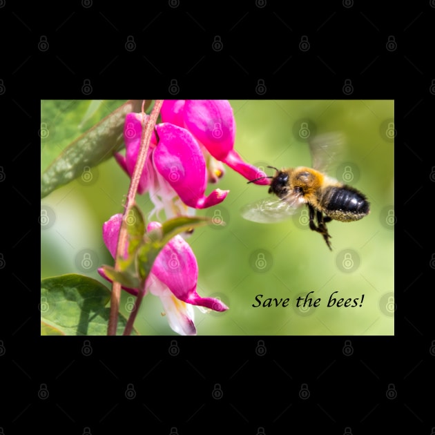 Save the bees by Naturelovers