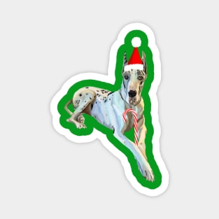 Christmas Harlequin Great Dane Dog Magnet