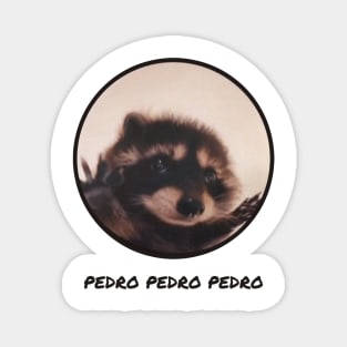 Pedro Raccoon Meme Animal Viral Pet Magnet