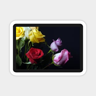 A Rose by any other Name Magnet