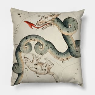 Draco and the Ursa Minor Pillow