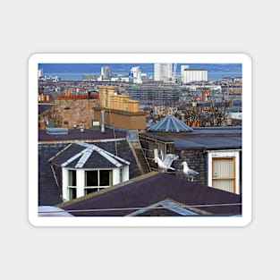 Edinburgh Rooftops Magnet