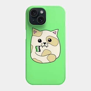 aromantic pride flag cat Phone Case