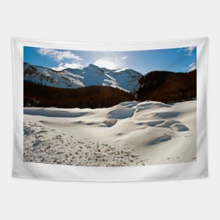 Canadian Rocky Mountains Icefields Parkway Canada Tapestry