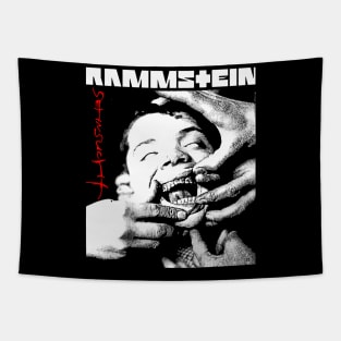 this is rammstein fanwork Tapestry