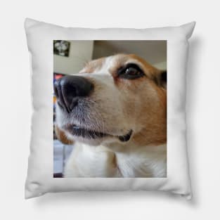 The Presidential Beagle Pillow